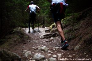 Laufen mit Trailrunningstöcken